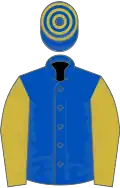 Royal blue, old gold sleeves, hooped cap