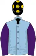 Light blue, purple sleeves, black cap, gold spots