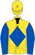 Yellow, royal blue diamond and sleeves