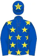 Royal blue, yellow stars, royal blue sleeves, royal blue cap, yellow star