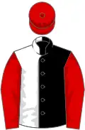 Black and white (halved), red sleeves and cap