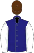 Sapphire blue, white sleeves, brown cap