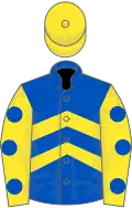 Royal blue, yellow chevrons, yellow sleeves, royal blue spots, yellow cap