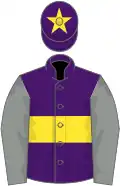 Purple, yellow hoop, grey sleeves, purple cap, yellow star