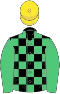 Black and emerald green check, emerald green sleeves, yellow cap