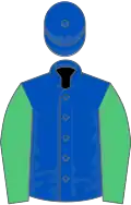 Royal blue, emerald green sleeves
