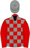 Red and grey check, red sleeves, grey cap