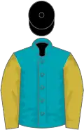 Peacock blue, old gold sleeves, black cap