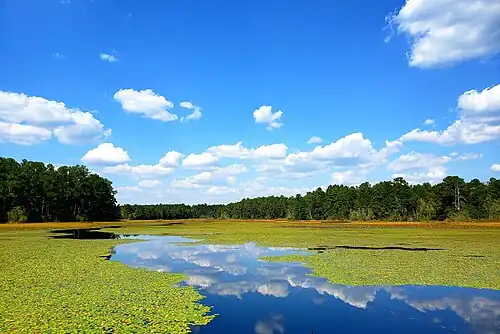 Par Pond
