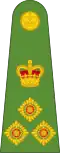 Brigadier (Papua New Guinea Land Element)