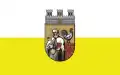 Flag of Duszniki-Zdrój