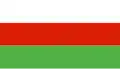 Flag of Wieleń