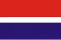 Flag of Parzęczew