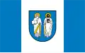 Flag of Rząśnia