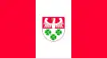Flag of Gmina Wierzchosławice