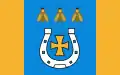 Flag of Gmina Zduńska Wola