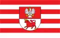 Flag of Bielsk County