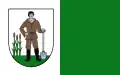 Flag of Nowodworski County, Pomeranian Voivodeship