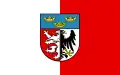 Flag of Pabianicki County
