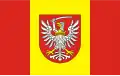 Flag of Toruń County