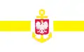 Hospital ship flag