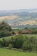 A view of Paštrić