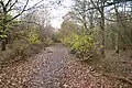 Papworth Wood