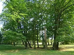 Park