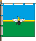 Flag of Pasichna