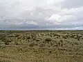 Cold Patagonian steppe near Fitz Roy, Argentina