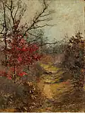 Path Through the Woods