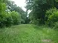 Foxley Wood