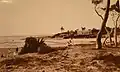Photograph of Carrum Creek (Patterson River) in the early 1900s.