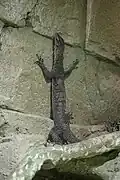 On wall