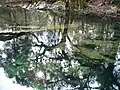 Spring I