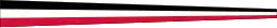 Pennant of Central Finland