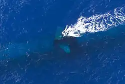 USS&nbsp;Key West at periscope depth, RIMPAC 2004