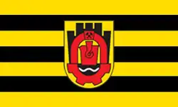Flag of Pernik