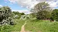 Pevensey Road Nature Reserve