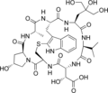 Phallisacin