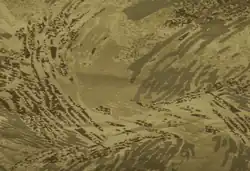 Desert