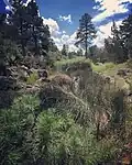 Don Weaver Trail