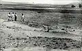 Surveying Kubeiba land intended for settling Beit Hanan, 1928