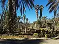 Cactus Garden at Yarkon Park