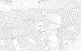 Pine Wood on an 1899 Ordnance Survey map.