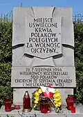 Wolska 2