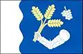 Flag of Plenkovice