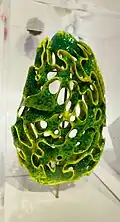 Pneuma 2