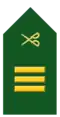 Captain