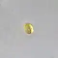 Pollen